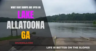 Boat Ramps Open on Lake Allatoona: Where to Launch?