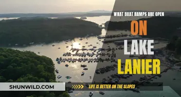 Lake Lanier Boat Ramps: Best Access Points