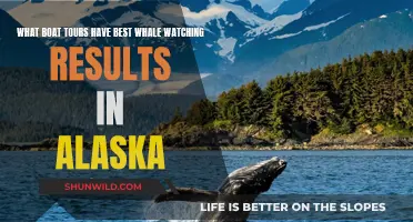 Best Boat Tours for Whale Watching in Alaska