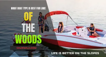 Best Boat Types for Lake of the Woods