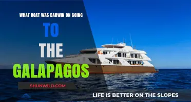 The Voyage of the HMS Beagle: Darwin's Galápagos Adventure