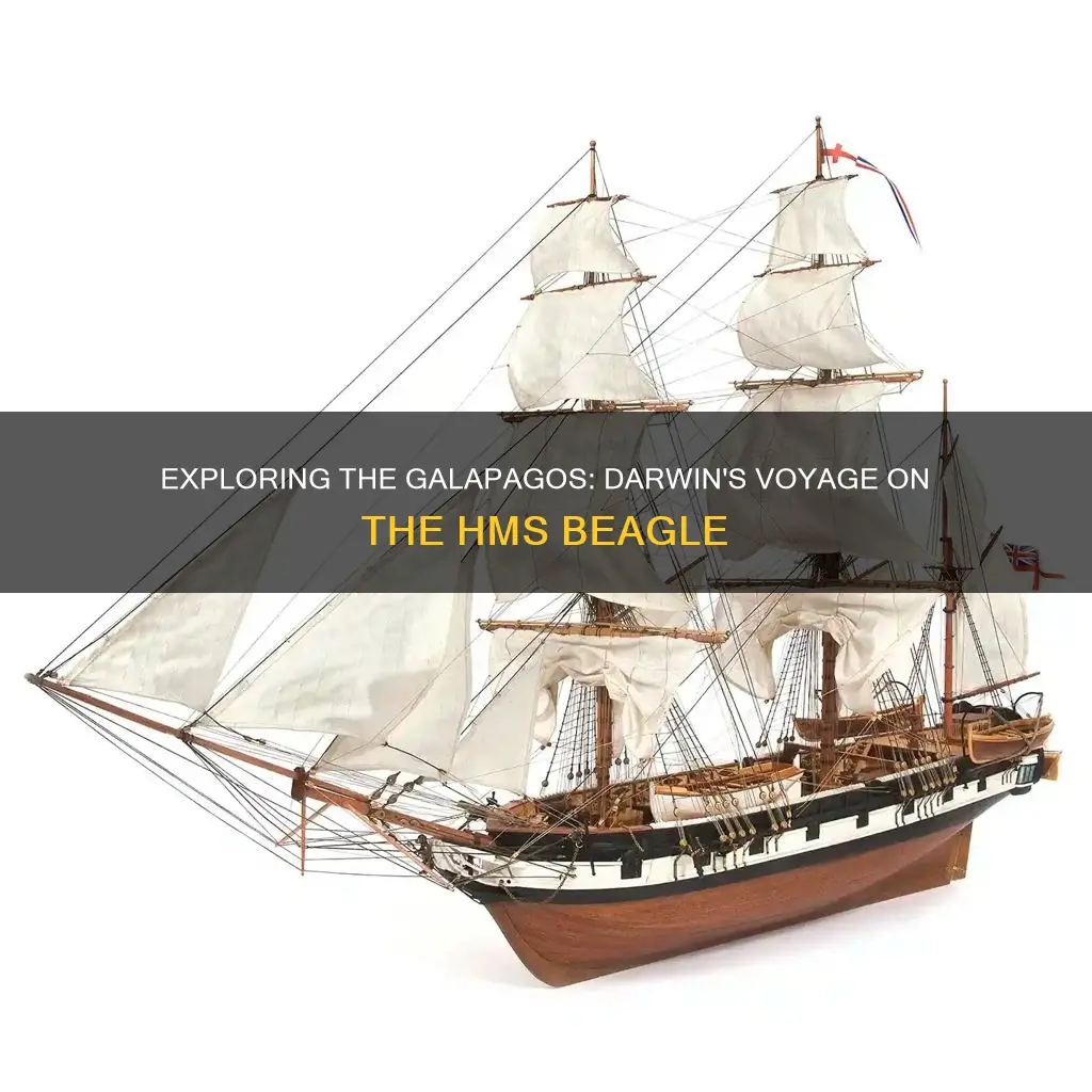 what boat was darwin on going to the galapagos