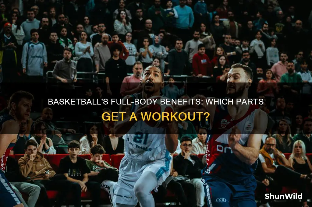 what body parts does basketball work