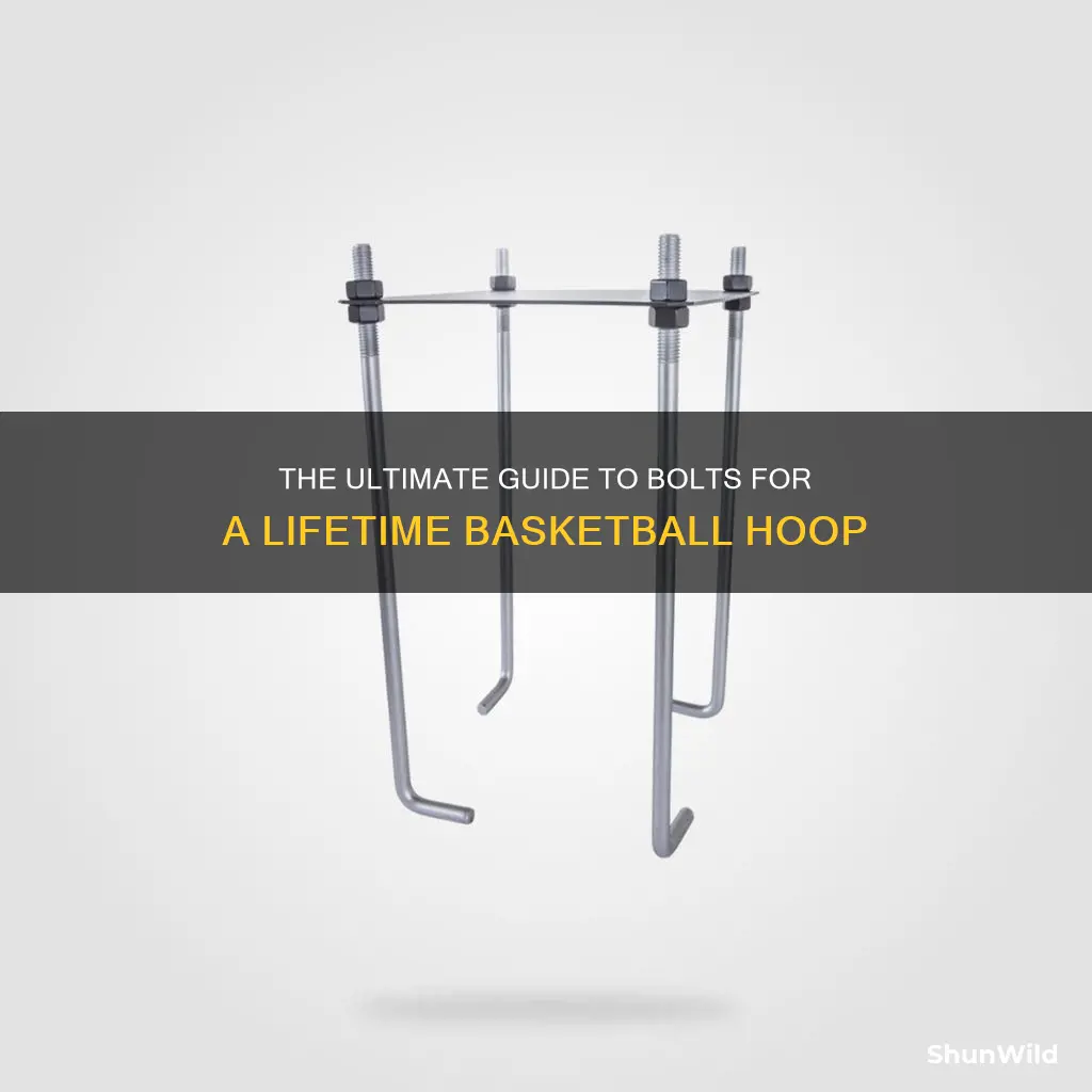 what bolts to use for lifetime basketball goal