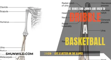 The Art of Dribbling: Unlocking the Secrets of Bone and Joint Mechanics