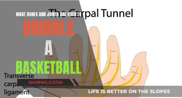 Dribbling a Basketball: Bones and Joints in Action