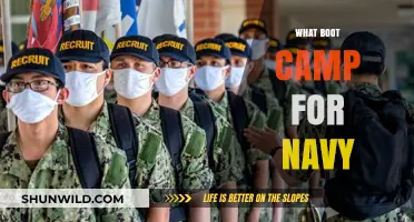 Understanding Navy Boot Camp: Training, Challenges, and Transformation Explained