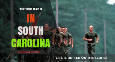 Discover South Carolina's Top Boot Camps for Fitness and Transformation