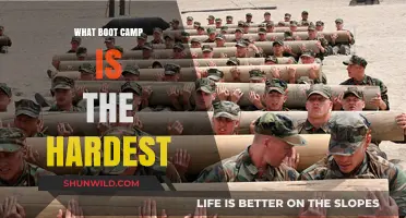 The Most Brutal Boot Camps: Which One Tops the Toughness Scale?