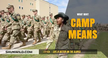 Understanding Boot Camp: Definition, Purpose, and Transformative Impact Explained
