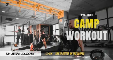 Transform Your Fitness: Discover the Ultimate Boot Camp Workout Guide