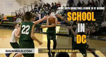 St. Albans School: Basketball League Membership Insights
