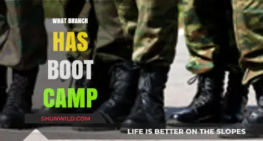 Which Military Branch Offers Boot Camp Training? A Comprehensive Guide