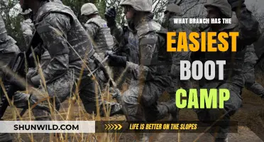 Which Military Branch Offers the Least Intense Boot Camp Training?