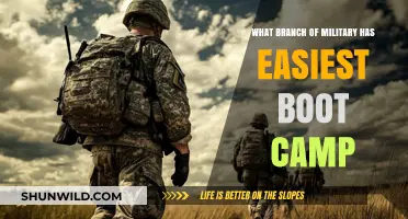 Easiest Military Boot Camp: Which Branch Offers the Least Challenging Training?
