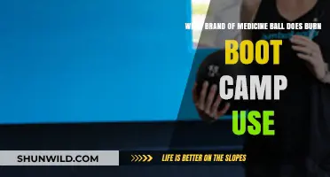 Burn Boot Camp's Medicine Ball Brand: Unveiling Their Preferred Choice