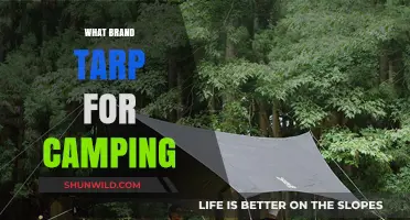 Best Camping Tarps: Top Brands for Outdoor Shelter and Protection