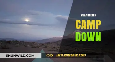 Unpacking the Key Factors That Break Down a Campsite Effectively