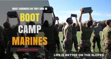 Marine Boot Camp Cadences: Uncovering the Rhythms of Military Training