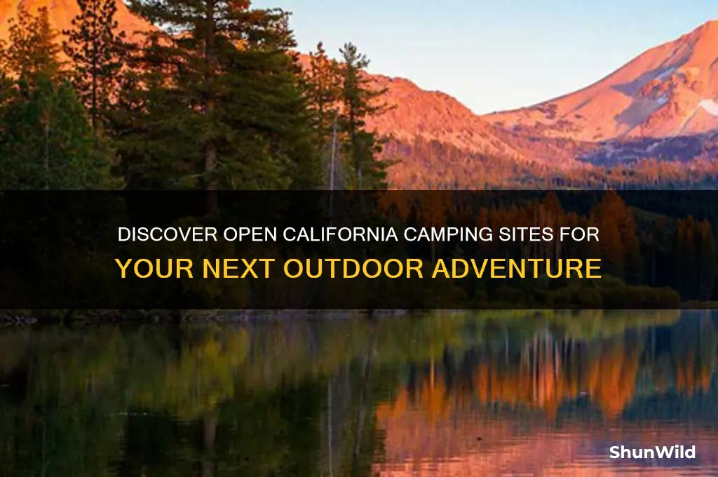what california camping is open