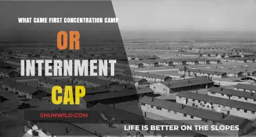 Concentration Camps vs. Internment Camps: Which Emerged First in History?