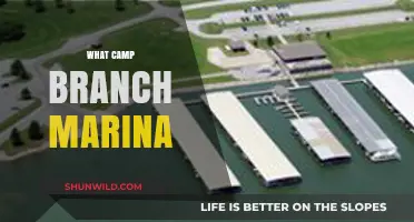 Discover Camp Branch Marina: A Hidden Gem for Boating Enthusiasts
