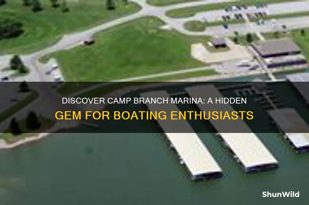 what camp branch marina