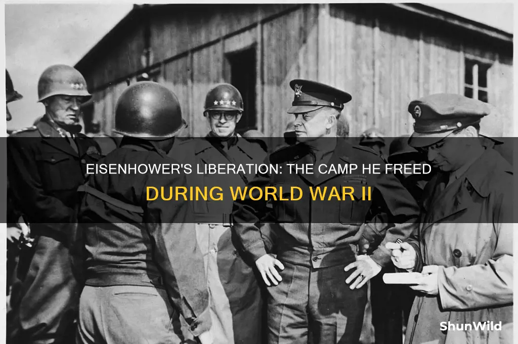 what camp did eisenhower liberare