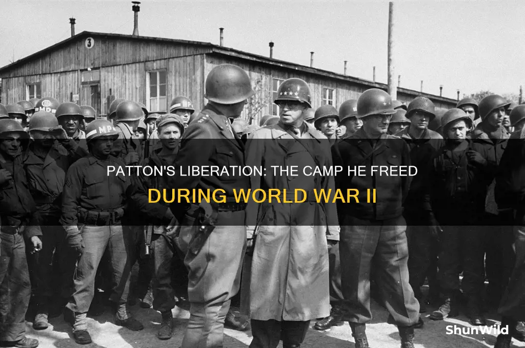 what camp did patton liberate