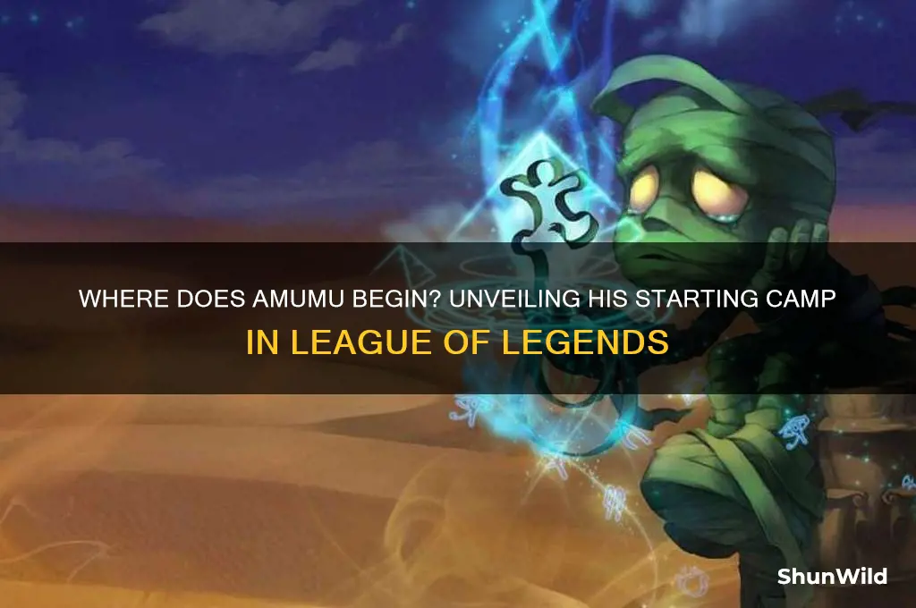what camp does amumu start