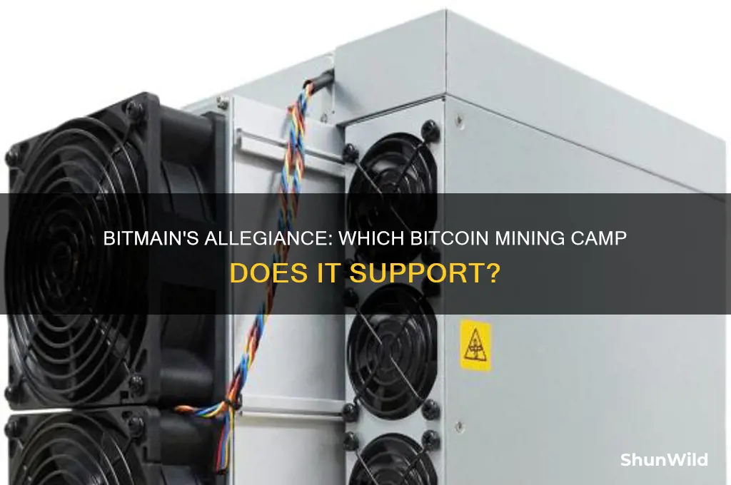 what camp does bitmain support