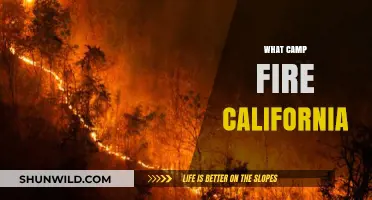 Understanding the Devastating Impact of California's Camp Fire Disaster