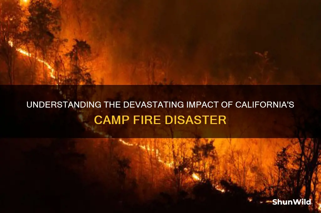 what camp fire california
