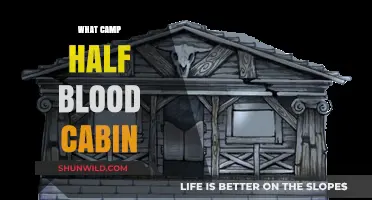 Discover Your Camp Half-Blood Cabin: A Demigod's Guide to Finding Home
