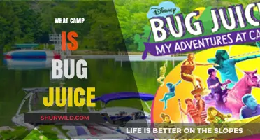 Unveiling the Mystery: What is Bug Juice at Summer Camp?