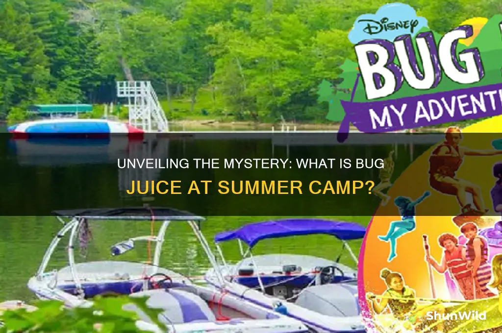 what camp is bug juice