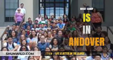 Discover the Best Summer Camps in Andover, MA for Kids