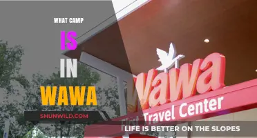 Discover Wawa's Hidden Gem: The Ultimate Camp Experience