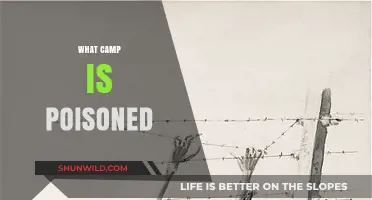 Poisoned Camp Mystery: Uncovering the Toxic Truth Behind the Tragedy