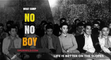 Unraveling the Story of 'What Camp No No Boy' Legacy