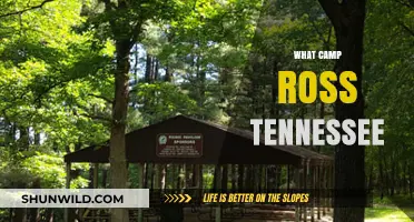Exploring Camp Ross: Tennessee's Hidden Gem for Outdoor Adventures