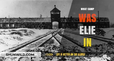 Elie Wiesel's Harrowing Journey: Which Concentration Camp Did He Endure?