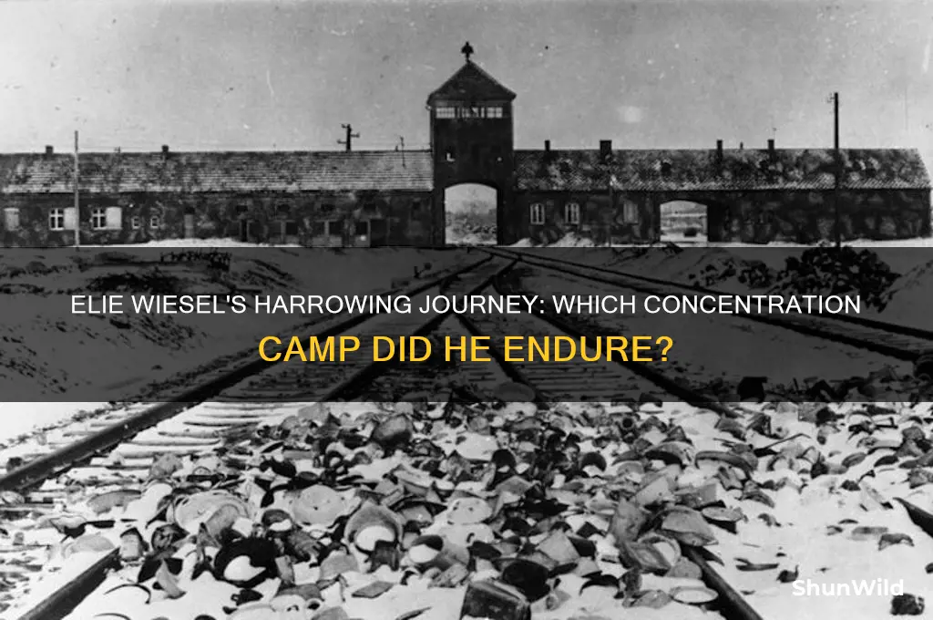 what camp was elie in