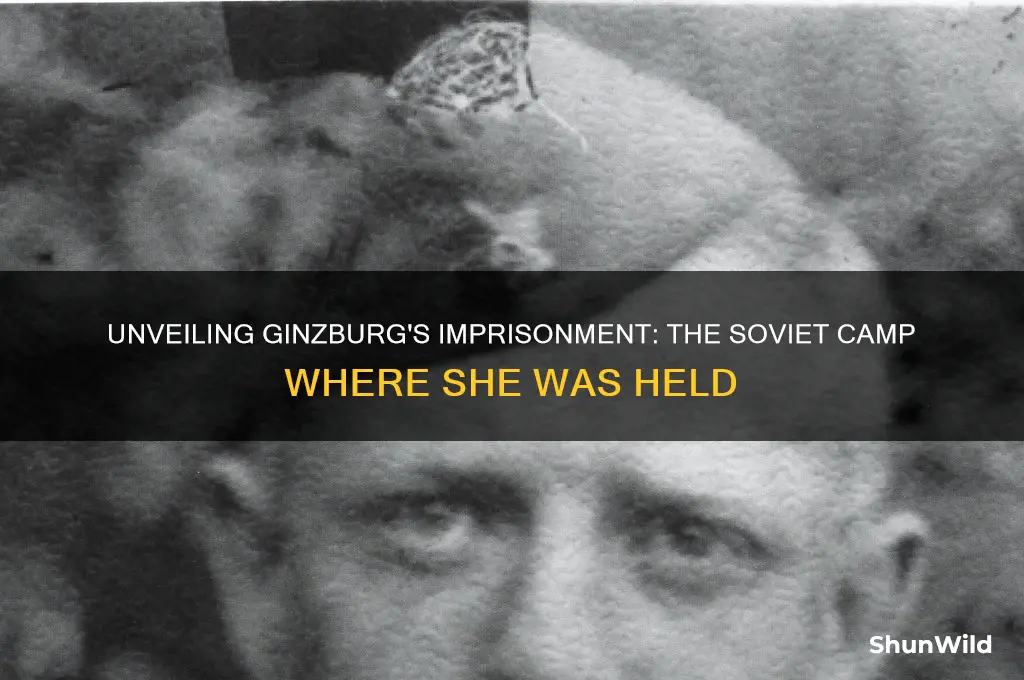 what camp was ginzburg in