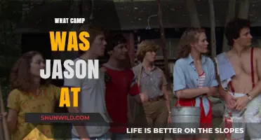 Unveiling Jason's Camp: A Deep Dive into His Summer Adventure