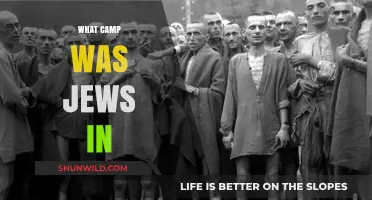 Unveiling the Horrors: Concentration Camps Jews Were Imprisoned In