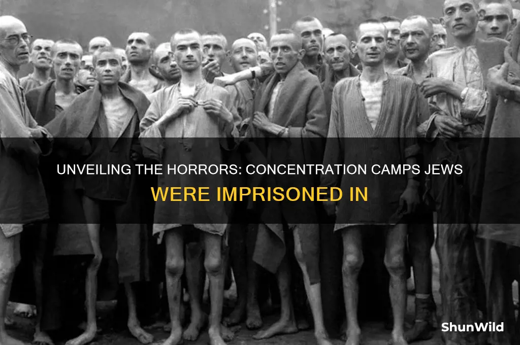 what camp was jews in