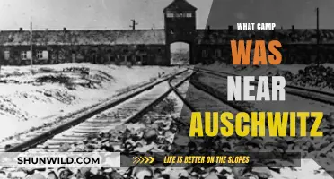 Exploring the Proximity: Camps Near Auschwitz During the Holocaust