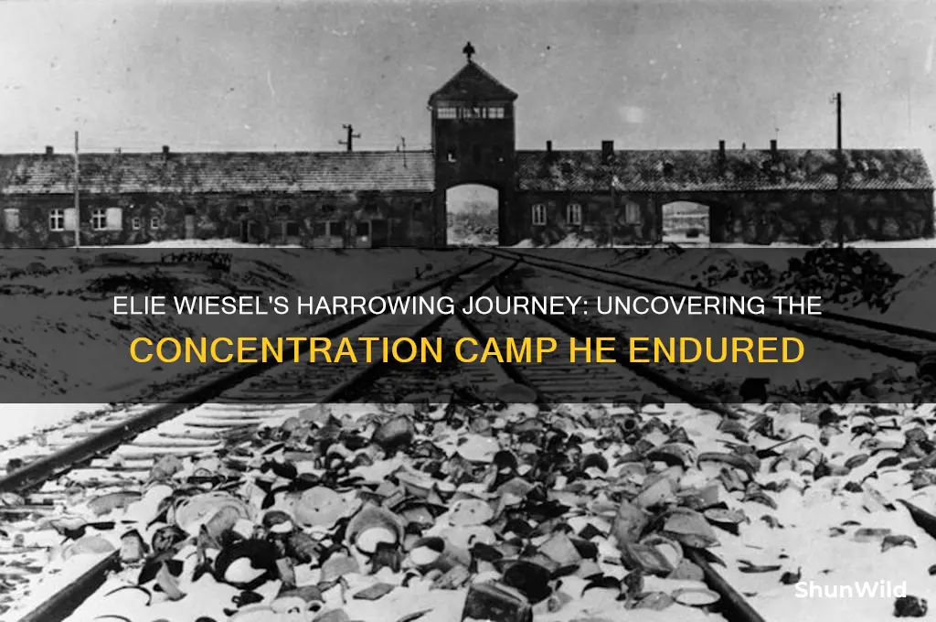 what camp was wisel at