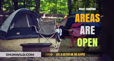 Discover Open Camping Areas for Your Next Outdoor Adventure
